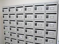 ���[���a�n�w