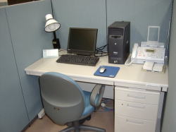 �����u�[�X